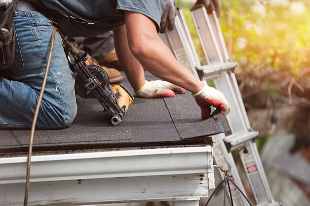 Best Shingle Roofing Installation  in Vero Lake Estates, FL